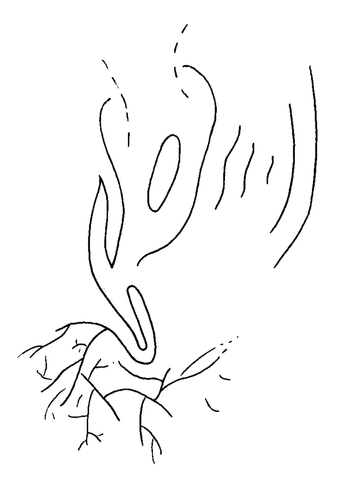 drawing-2